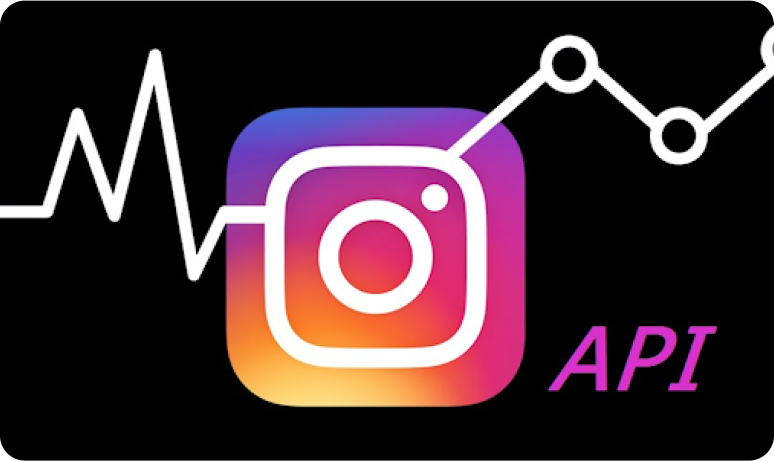 Instagram Custom API